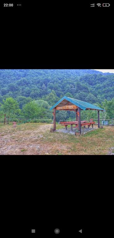 Private accommodation Kalezić - 15