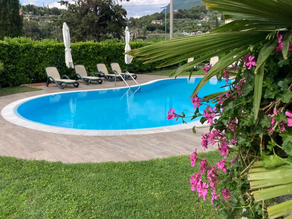 a swimming pool in a yard with chairs and flowers at Apartments Panoramica in Malcesine