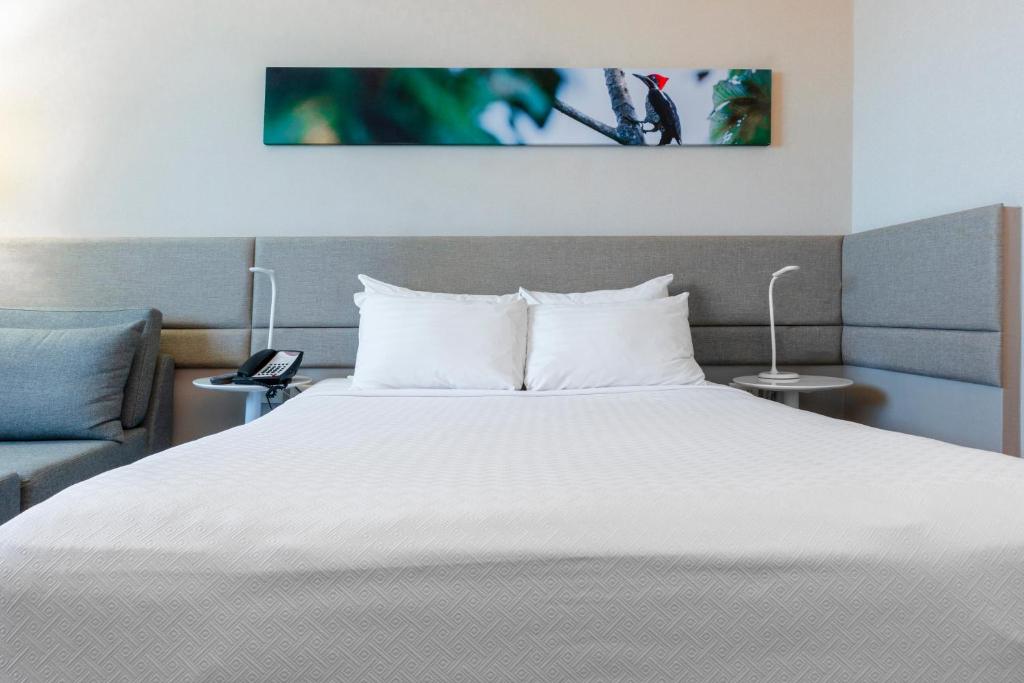 Crowne Plaza Managua, an IHG Hotel - Habitación Estándar Queen Con Vistas A La Montaña