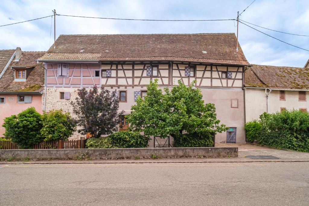 Les Ambrades - Chez Jade et Ambre – photo 41