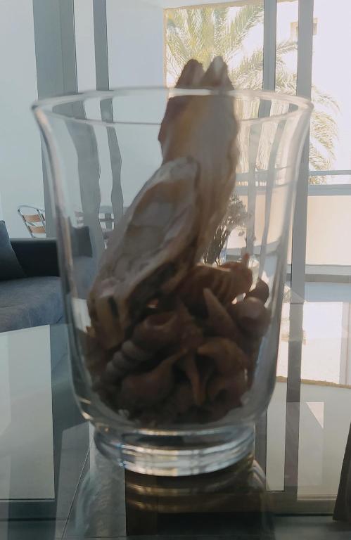 Jídlo v apartmánu nebo okolí