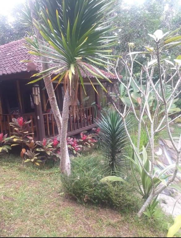 Zahrada ubytování Sky garden Lombok