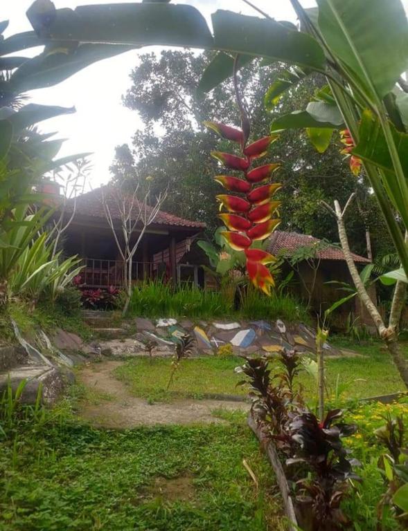 Zahrada ubytování Sky garden Lombok