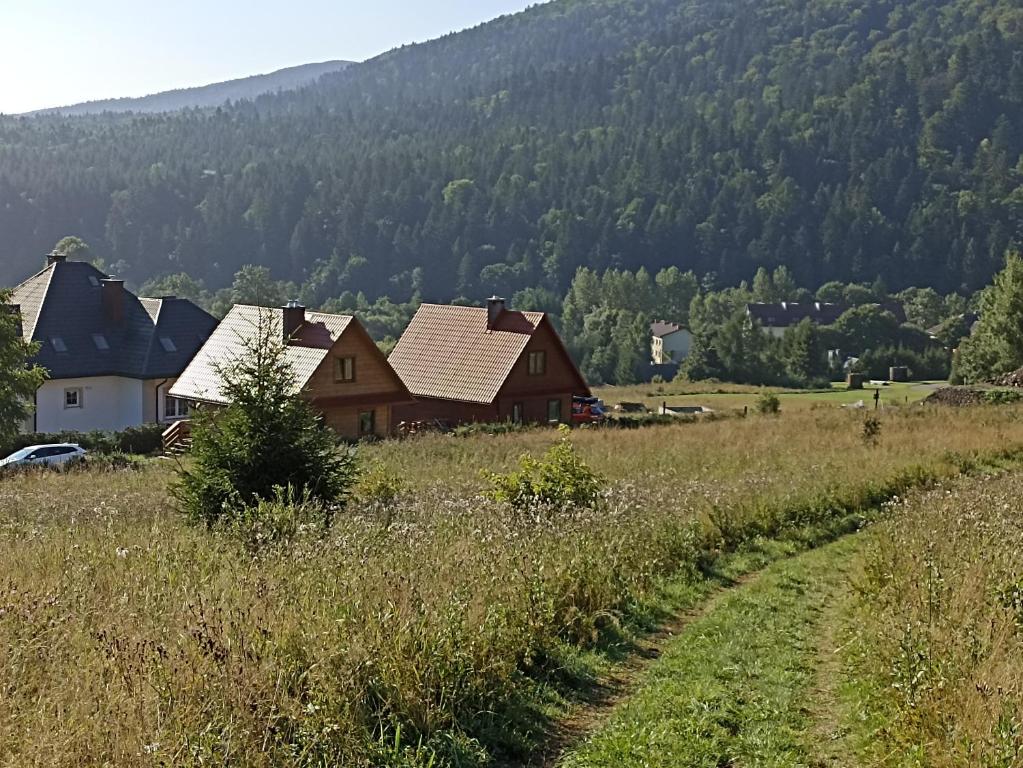 grupa domów na wzgórzu na polu w obiekcie Domki pod Honem w Cisnej w Cisnej