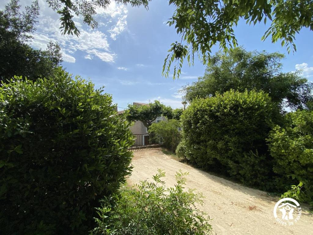 a yard with trees and a house in the background at Le Georges V in Alzonne