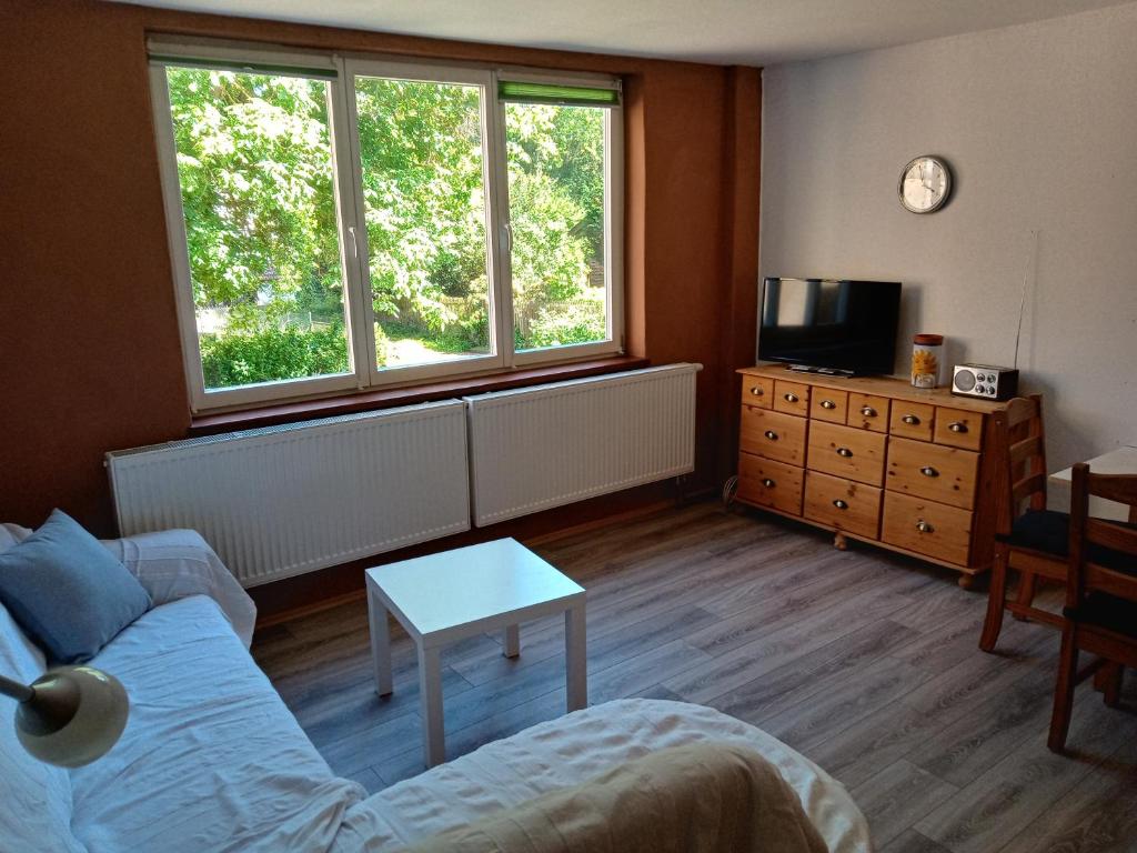 a living room with a couch and a tv and two windows at Ferienwohnung Baunatal - ruhiges Apartment am Ende einer Sackgasse in Baunatal