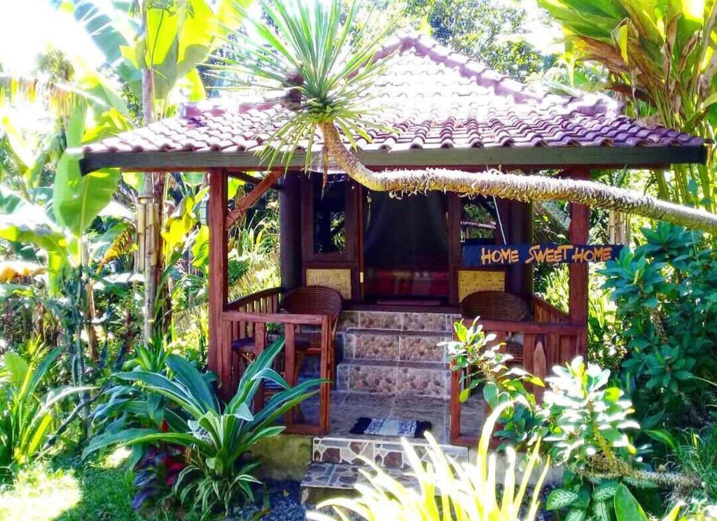 Zahrada ubytování Sky garden Lombok