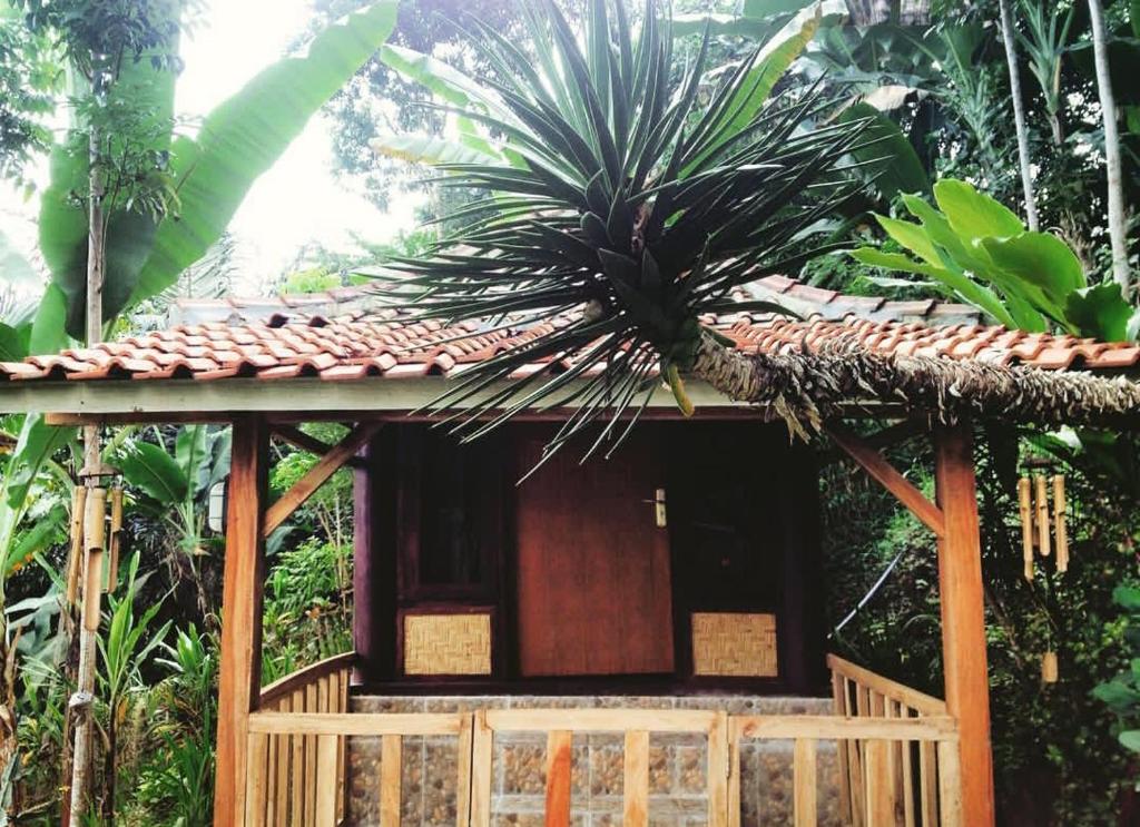Zahrada ubytování Sky garden Lombok