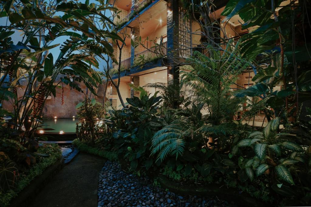 Zahrada ubytování LASTANA SUITE UBUD