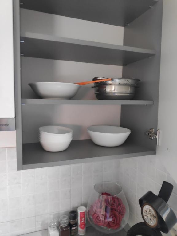 Kuchyň nebo kuchyňský kout v ubytování Apartman Ema