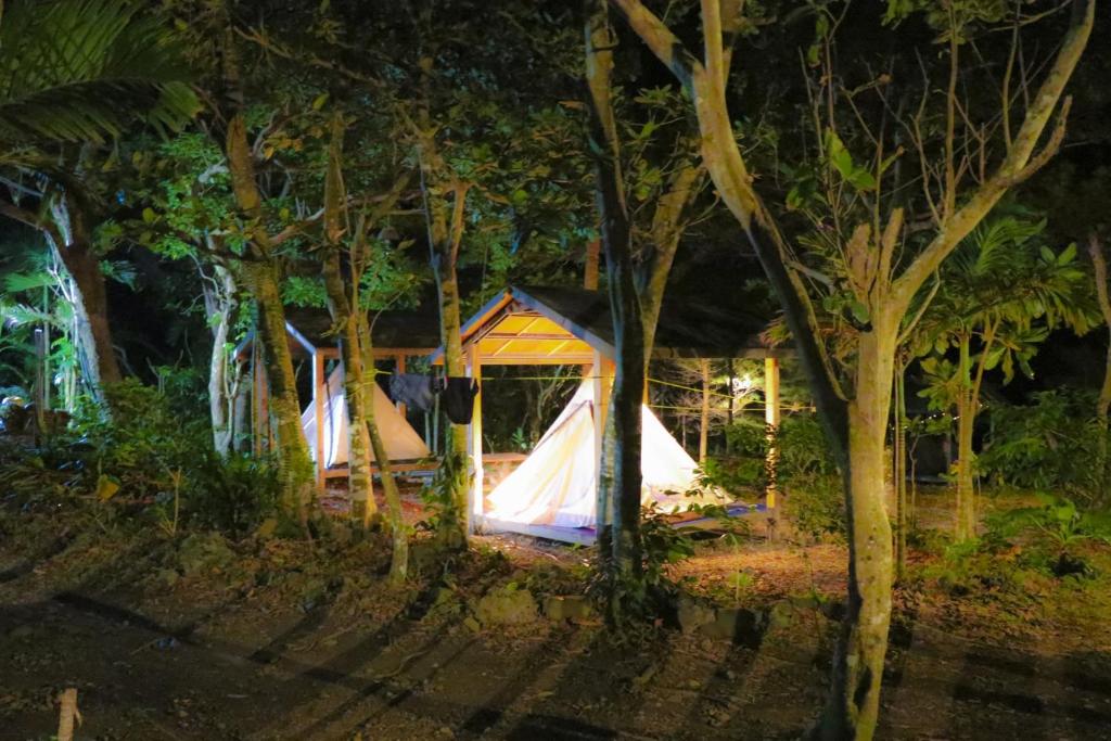 Zahrada ubytování Jimmy Explorer Campsite and Dive Center