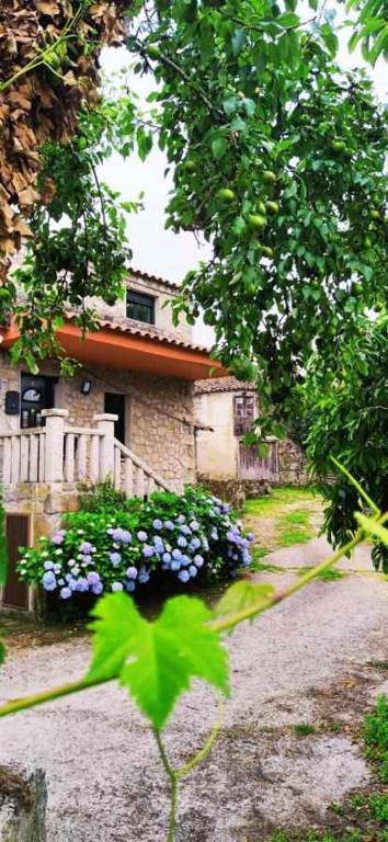 a house with purple flowers in front of it at Alojamiento Pena da Osa in Sober