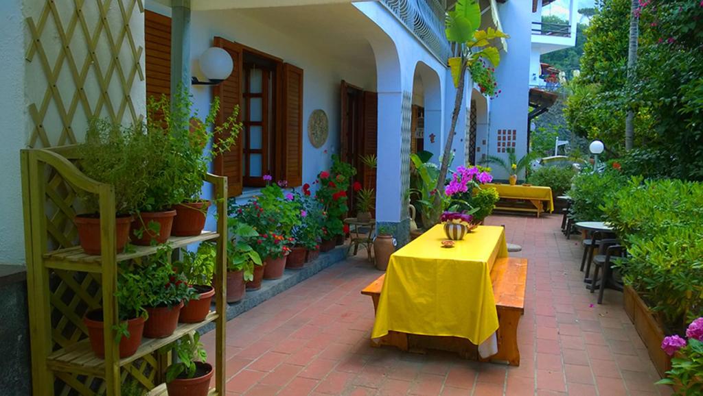 patio con tavolo e alcune piante in vaso di B&B Villa Anna Wunderbar a Ischia