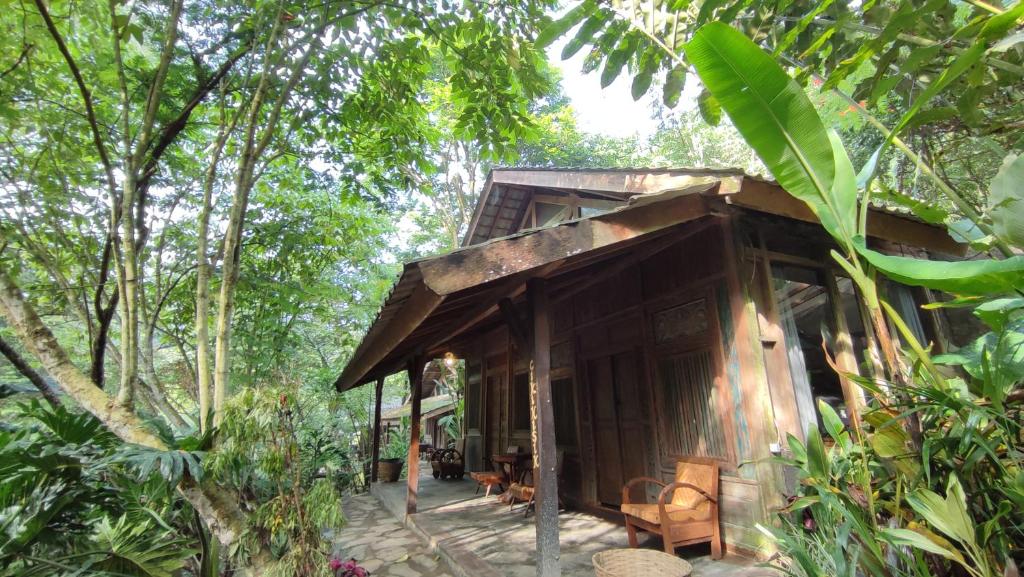 Imah Seniman - Suite With Garden View