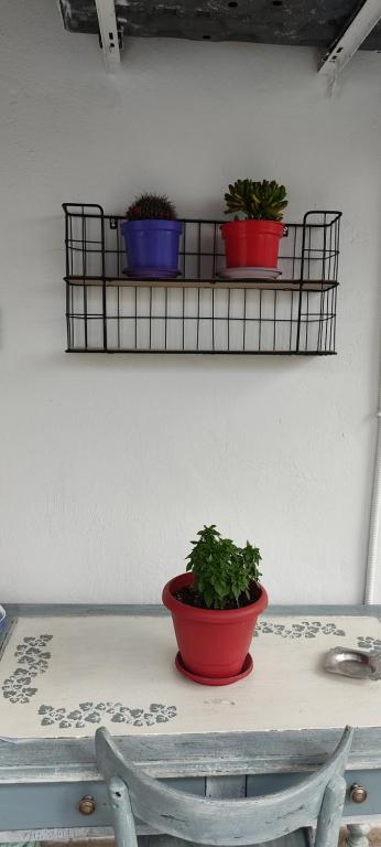 Fotografie z fotogalerie ubytování APARTMENT TSAIRA v destinaci Amolianí