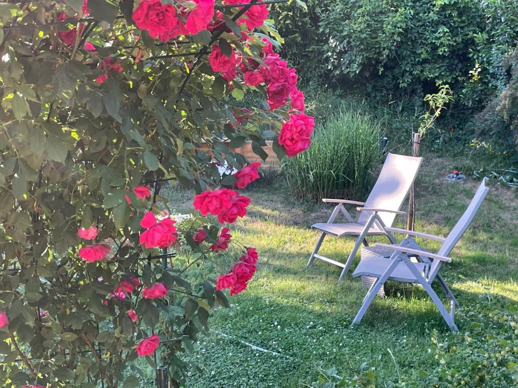 HOTEL DIANA apartments - Resim 26