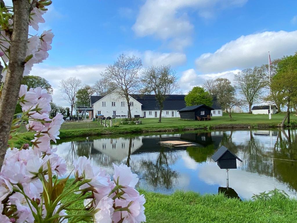 een vijver voor een huis met roze bloemen bij Luksuslejlighed til 8 personer i hjertet af Sønderjylland in Branderup