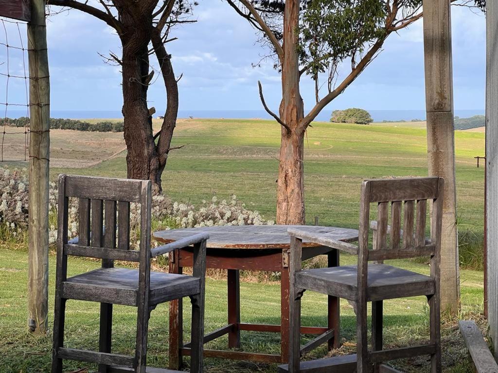 uma mesa velha e duas cadeiras sentadas ao lado de uma árvore em Twelve Apostles Ocean View em Princetown