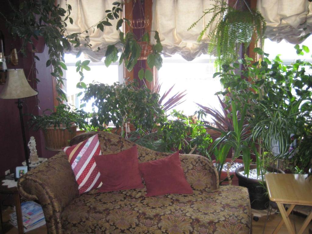 a living room with a couch and lots of plants at Phoenix House B&B in Stettler