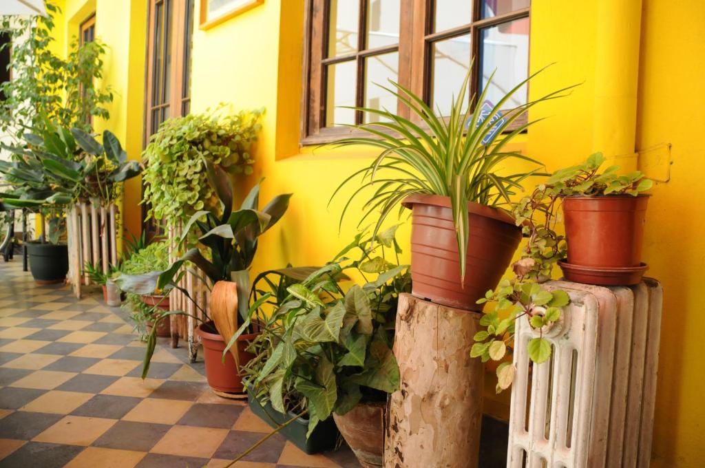 Zahrada ubytování Hostal Rio Amazonas