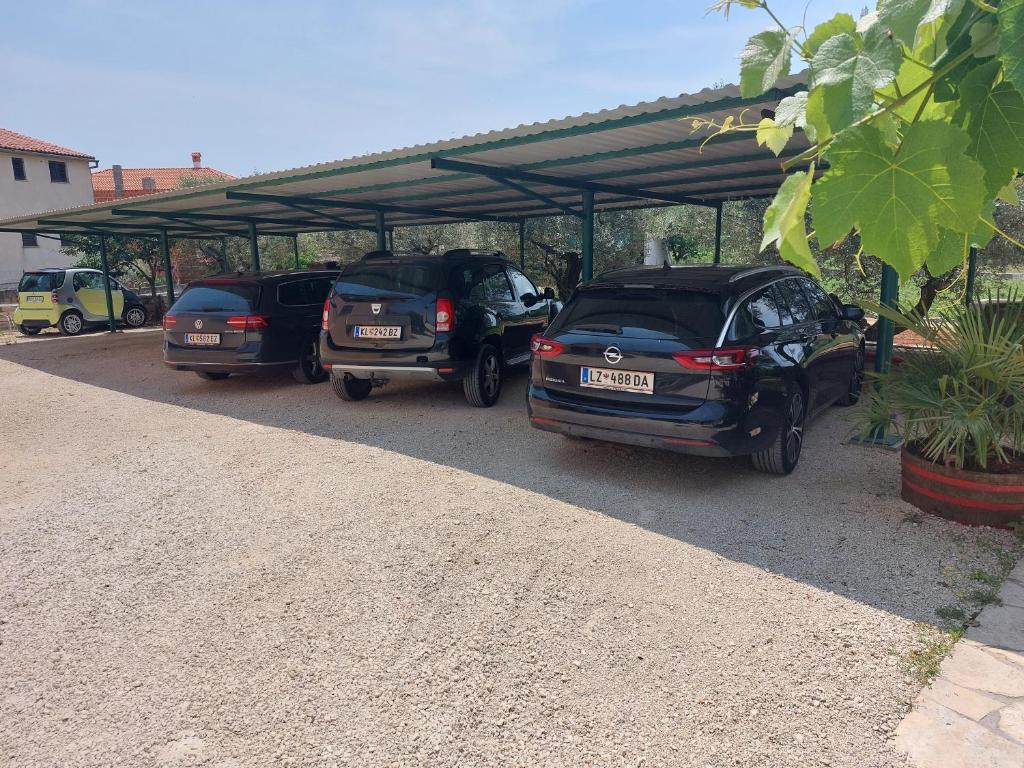 Zdjęcie z galerii obiektu Apartments Bakša w mieście Kanfanar