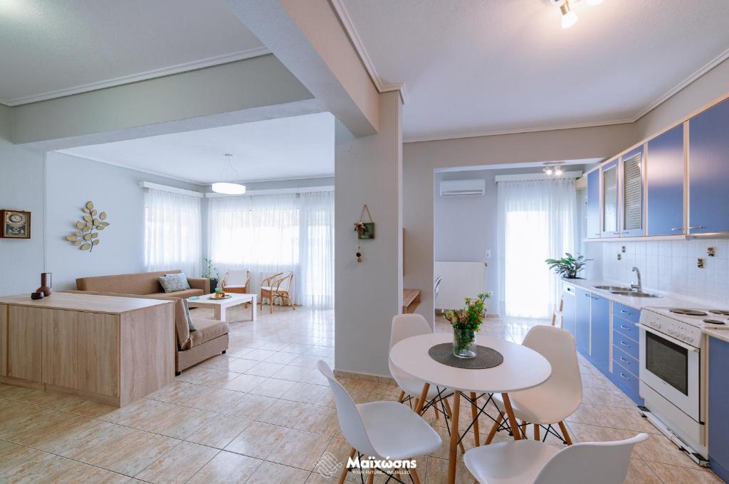 Kuchyňa alebo kuchynka v ubytovaní HELIANTHOS VILLA - APARTMENT No1