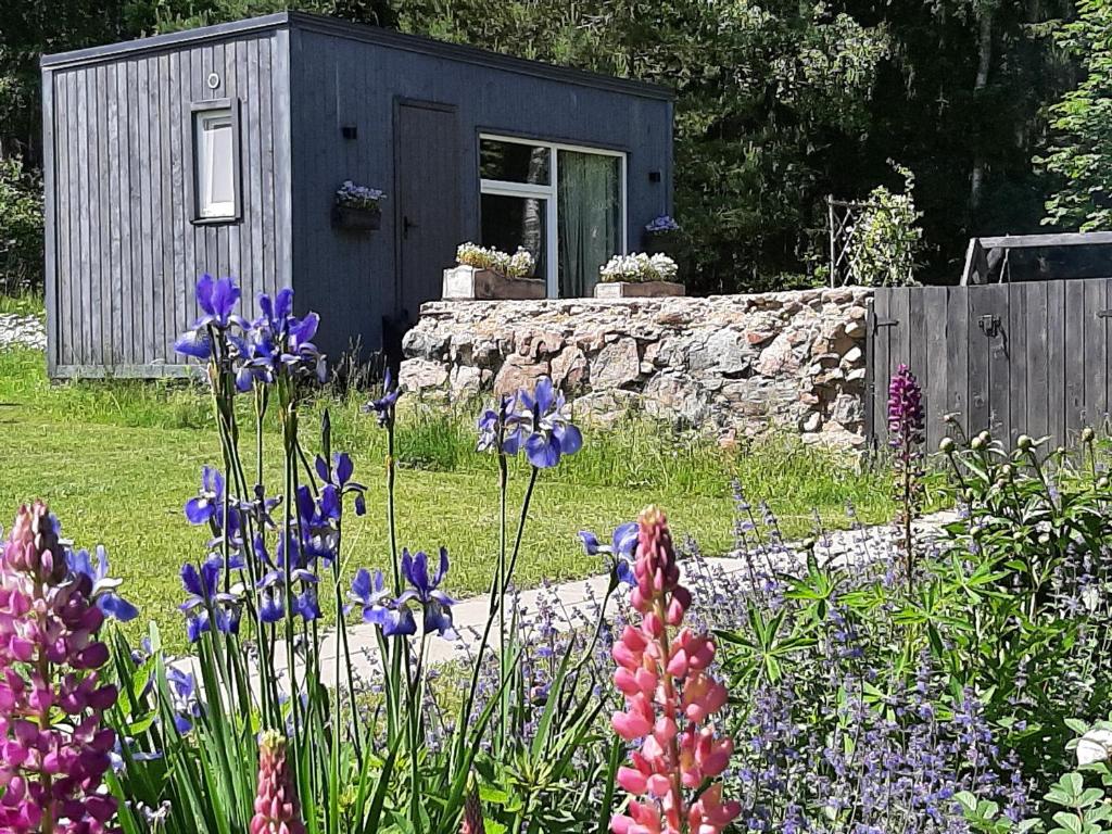 a garden with purple flowers in front of a shed at Mellene 1 bedroom house in nature & hot tube in Turaida