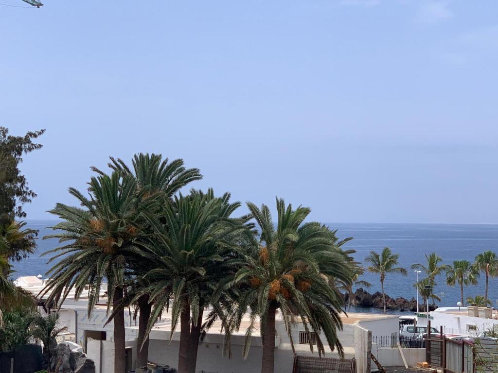 vistas a una playa con palmeras y al océano en SEA&RELAX en Puerto del Carmen