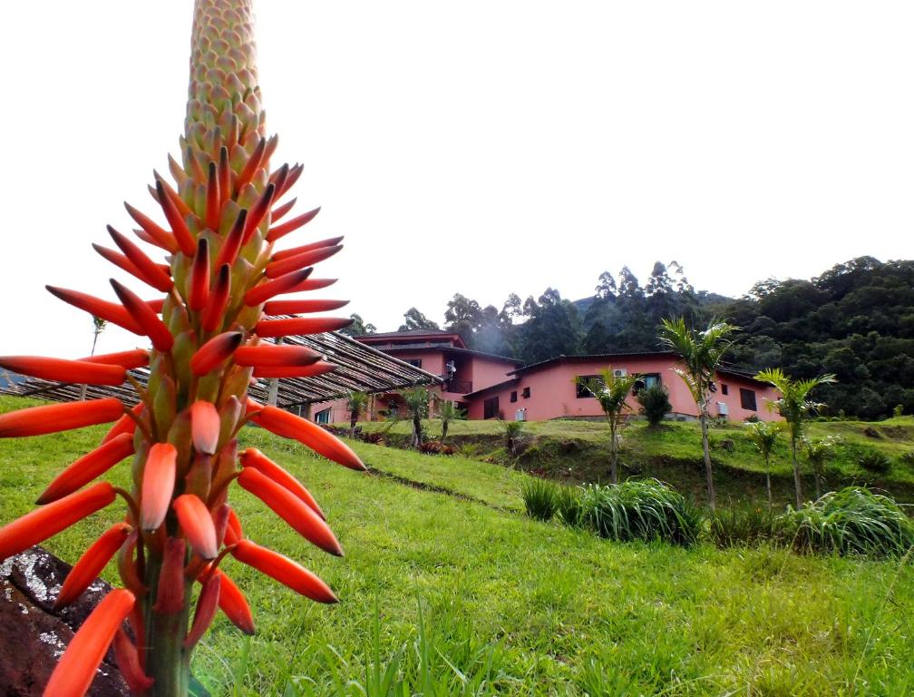  Pousada Aracema
