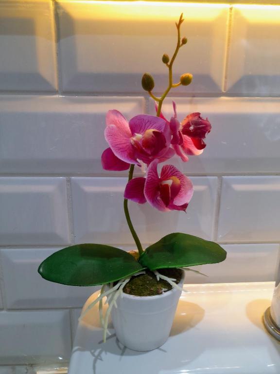 Light Blue Apartment - 17