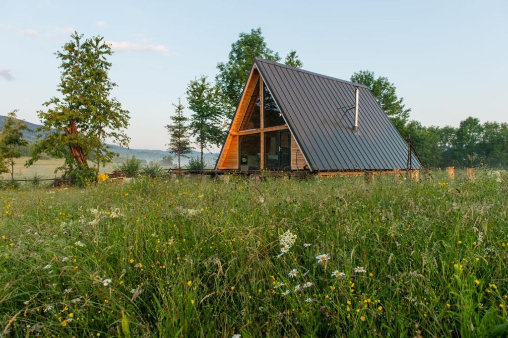 a small wooden cabin in a field of grass at Cabana lu’ Ilie in Şinca Nouă