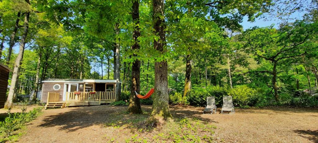 una cabaña en el bosque con una hamaca junto a un árbol en Mobil-Home 6 pers sur une grande parcelle, proche Paris camping 3 étoiles, en Mirgaudon