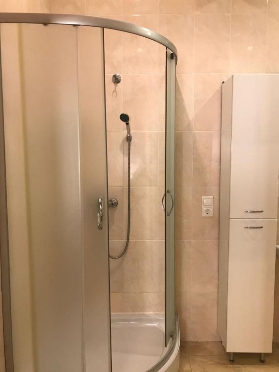 Koupelna v ubytování Apartments na Beregu