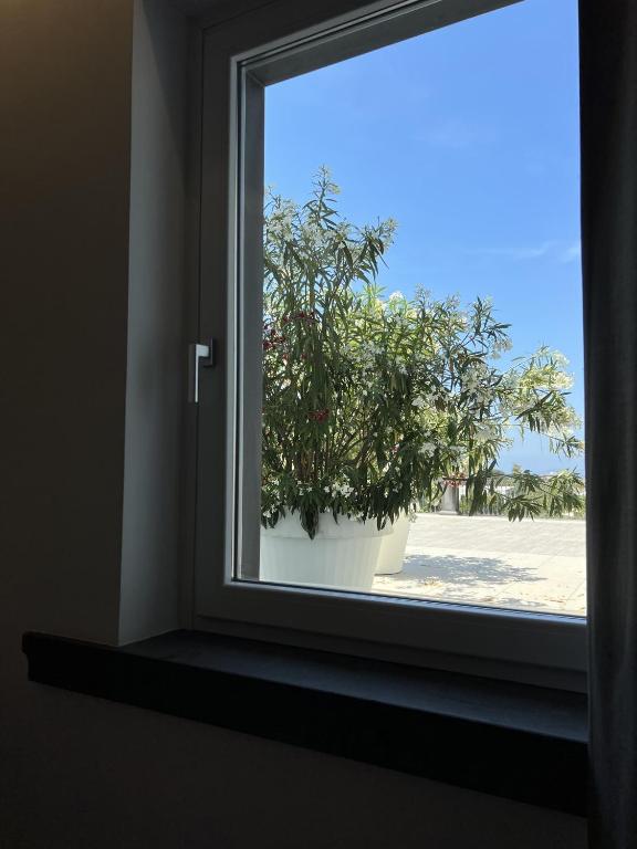 Il San Cristoforo - Single Room