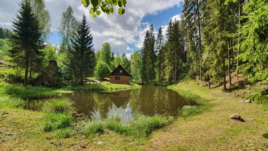 eine Hütte im Wald neben einem Teich in der Unterkunft GRĪVIŅU pirts in Liepa