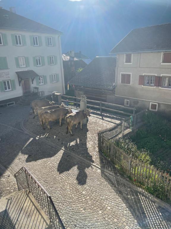Nespecifikovaný výhled na hory nebo výhled na hory při pohledu z bed and breakfast