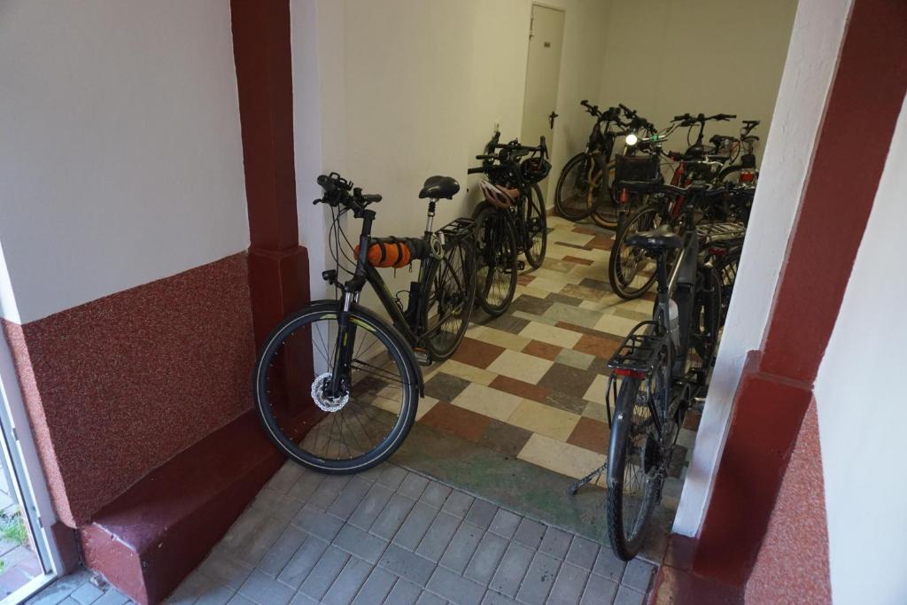 Jízda na kole v ubytování Hotel am Bahnhof nebo okolí