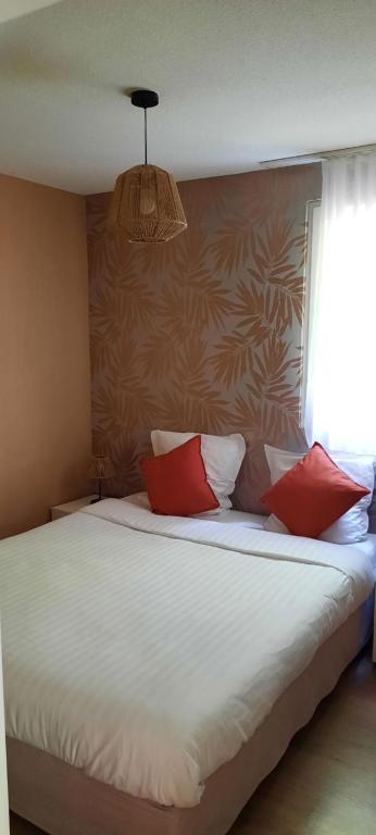 Résidence Les Rives de la Fecht - Colmar Ouest - Appartement 1 Chambre Avec Jacuzzi Privé