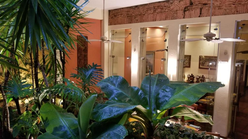 a room filled with lots of green plants at Hotel Casa do Amarelindo in Salvador
