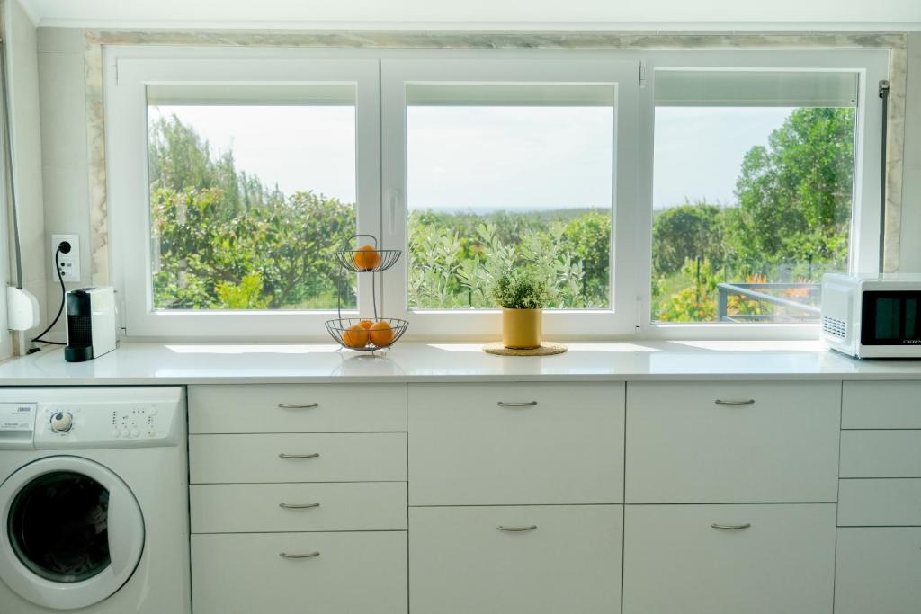 a kitchen with white cabinets and two windows at Casa Vale do Ouriço in Casais de São Lourenço