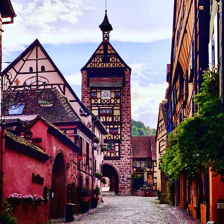 Gite Les deux belettes - Appartements meublés à Riquewihr - Vue vignoble – photo 34