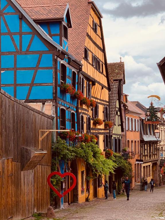 Gite Les deux belettes - Appartements meublés à Riquewihr - Vue vignoble – photo 35