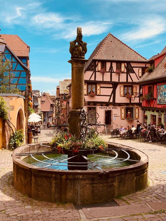 Gite Les deux belettes - Appartements meublés à Riquewihr - Vue vignoble – photo 36