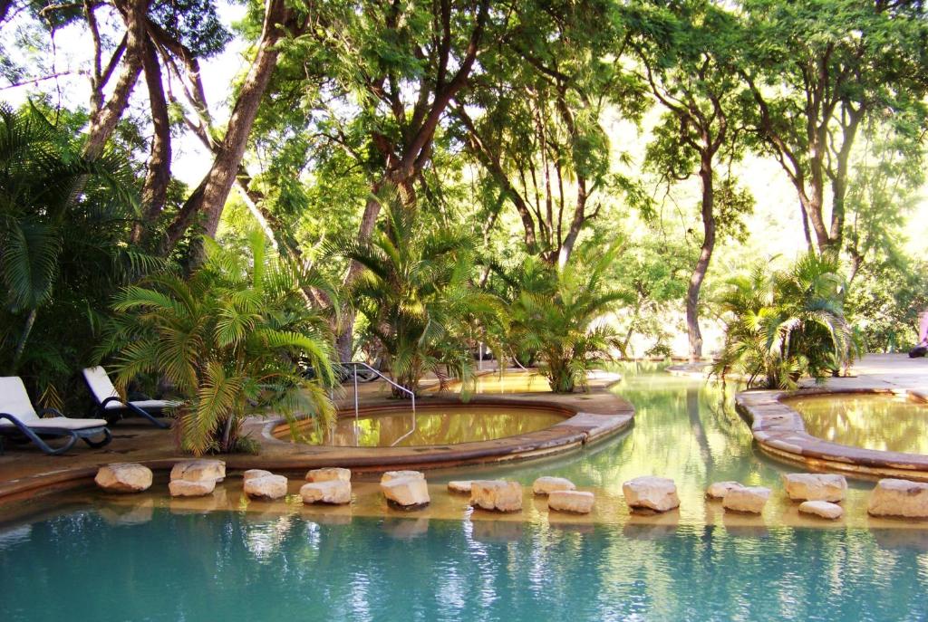 a swimming pool in a park with trees at Hotel Agua Blanca in San José Purúa