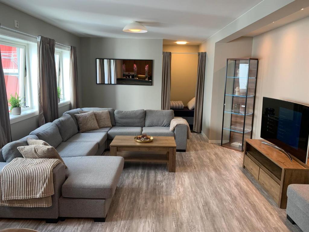 TV a/nebo společenská místnost v ubytování Notodden Sentrum Apartment NO 8