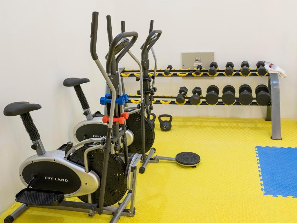 Fitness centrum a/nebo fitness zařízení v ubytování Retaj Inn Al Wakrah
