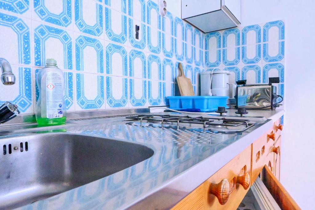 Kuchyň nebo kuchyňský kout v ubytování Guest House Ivanka