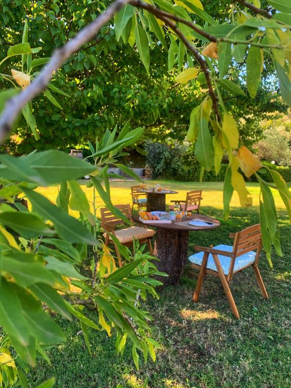 a picnic table and chairs sitting under a tree at Affittacamere La Petra Longa in San Teodoro