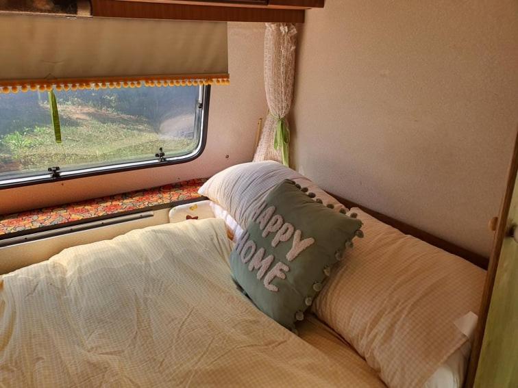 Fotografia z galérie ubytovania Koppány Pines Rewild Escapes - Vintage Caravan v destinácii Koppányszántó