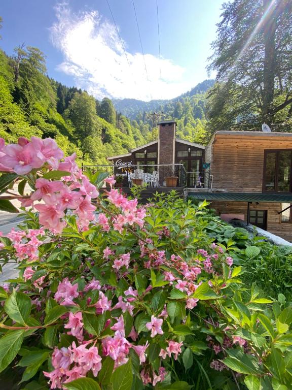 a bush of pink flowers in front of a building at Ayder Gencal Villa in Ayder Yaylasi